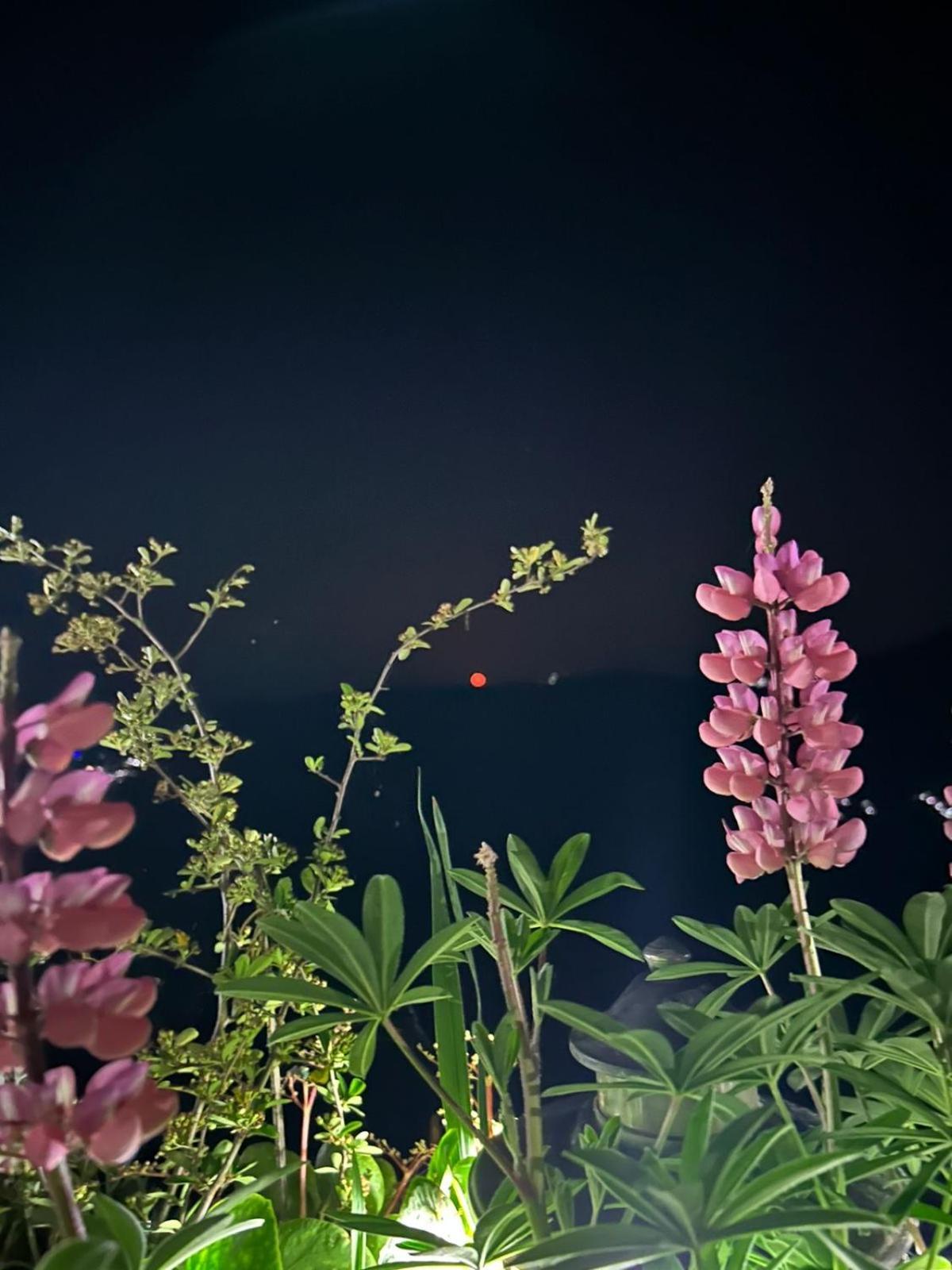 Murmincho Homestay Darjeeling (West Bengal) Exterior foto